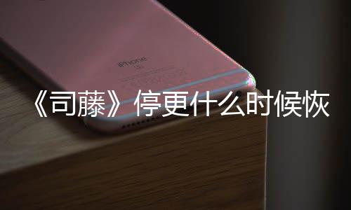 大恢复播出更新藤停更司什么时候时间结局揭秘