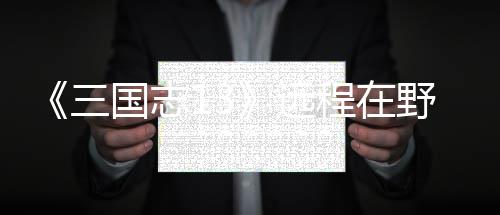 程在国志略三将录远野武用攻