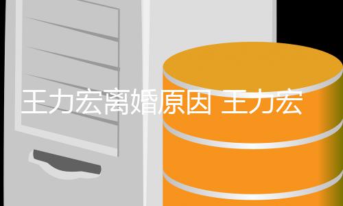 宏离婚原宏与孩子吗王力王力老婆了有结婚几年因
