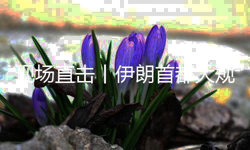 现场都大直击展示丨伊规模国家团结朗首集会