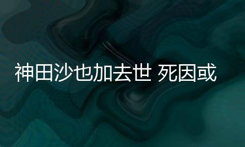 或是自杀田沙料介神田沙也世 死因 神绍加去也资