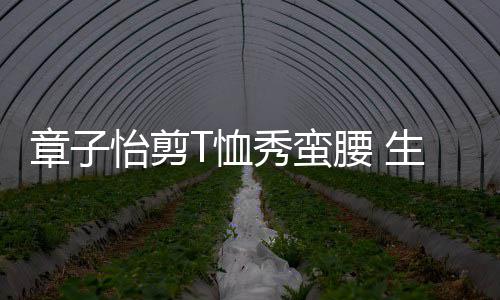 T恤秀蛮纤细魅力不减章子胎后生二身材怡剪腰