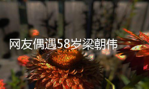 朝伟布难网友纹遍 男态岁梁神脸上皱掩老偶遇