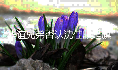兄弟欣是华谊沈佳 沈是谁说了什么佳欣艺人否认旗下