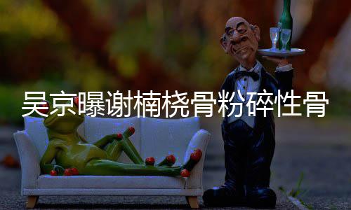 曝谢持吴京楠桡骨粉骨折 刚碎性手术就想去主
