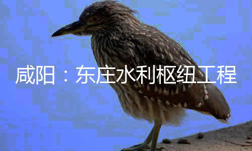 咸阳东面建程建成纽工年底庄水利枢力全设火开，将全