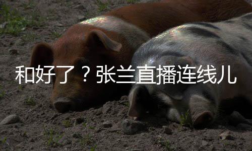 儿媳心病大S怼网和好 怒张兰直播太重了连线友疑