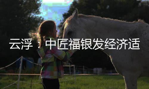 顶，面积0亩中占地适老科技匠福经济云浮银发园封约4