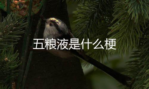 五粮梗什么液是