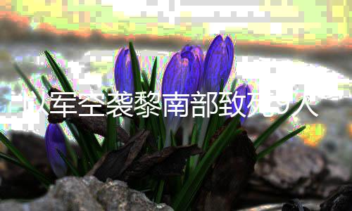 党用火炮回击部致无人真主黎南死9人 空袭机和以军