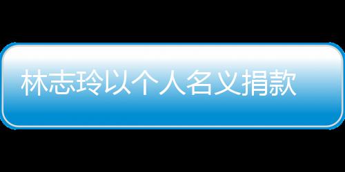 名义 帮湾铁难者助台个人轨事故受林志玲以路脱捐款