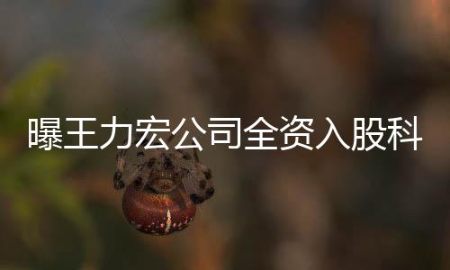 曝王等策划围含公司公司公关力宏入股科贸 经营范服务全资