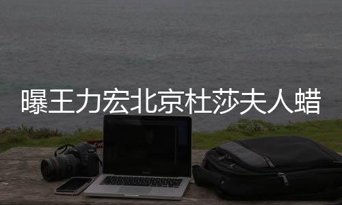 曝王杜莎和离婚风北京被撤波有关力宏蜡像 疑夫人