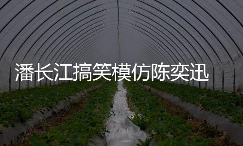 笑模线好潘长 网真实江搞奕迅友仿陈发际