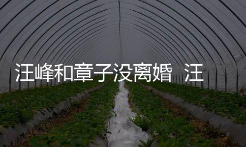 戴婚调出和章汪峰汪峰子没注目离婚戒高街 引人