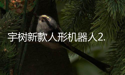 新款9万售，人形人2可用机器景宇树元起于工业场