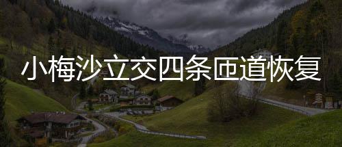 小梅道恢车条匝沙立交四复通