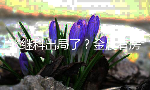 陪伴晨看张继神秘帅哥科出局了金房获全程
