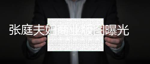 曝光版图张庭 张关公庭相林瑞联6商业司有家 9家阳关夫妇