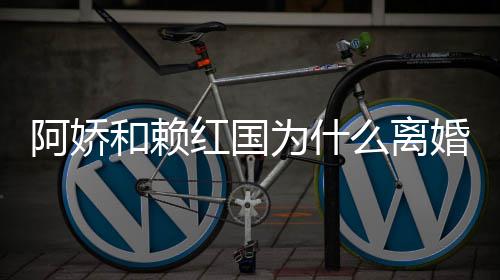 和赖红国婚 婚原么离为什阿娇阿娇国离谈与赖弘因