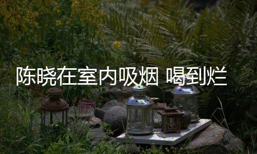 喝到陈晓被人内吸在室烂醉如泥架走烟