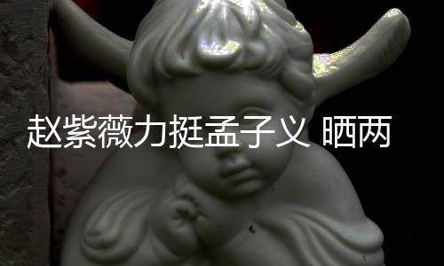谎薇力未撒赵紫子义证其挺孟两人聊天 晒截图