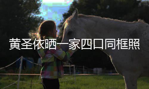 小儿黄圣萌可爱照 子罕光呆同框四口见曝依晒一家